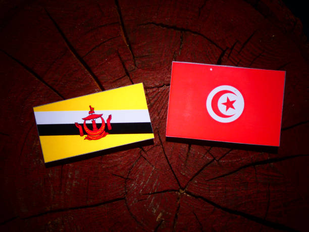istock Brunei flag with Tunisian flag on a tree stump isolated 844129404