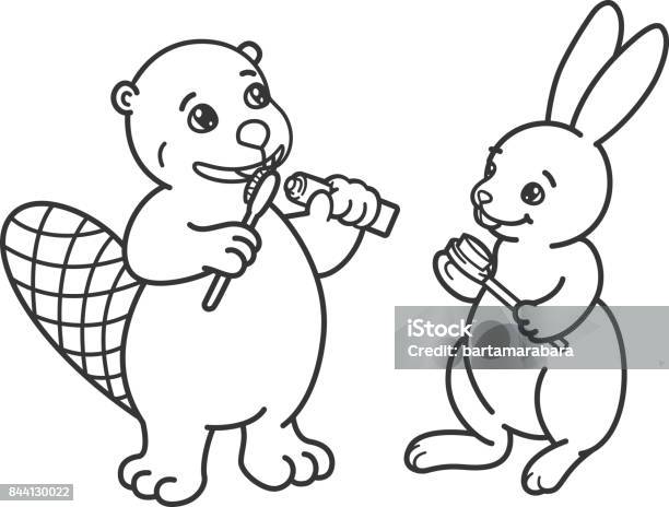 Hare And Beaver Brush Their Teeth With Toothbrushes Picture For Coloring Outline Stock Illustration - Download Image Now