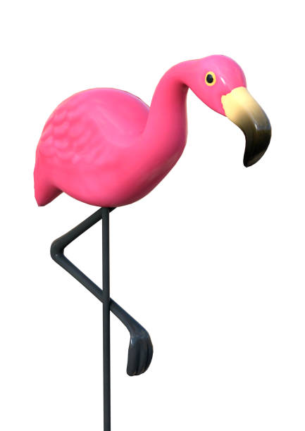 istock 3D Rendering Pink Flamingo on White 844136770
