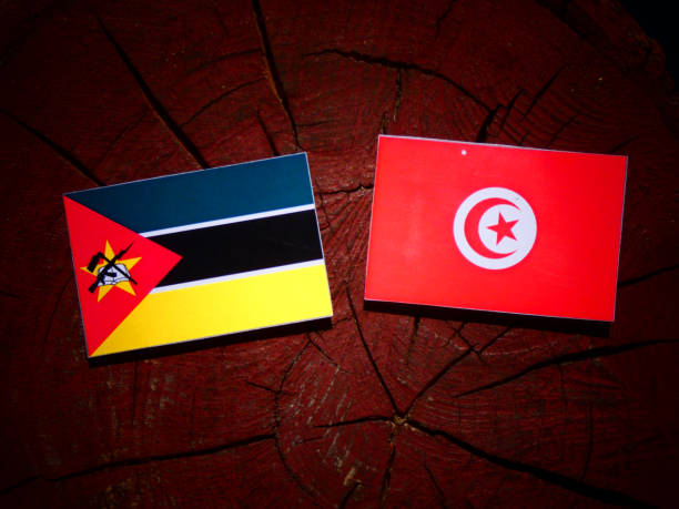 istock Mozambique flag with Tunisian flag on a tree stump isolated 844144682