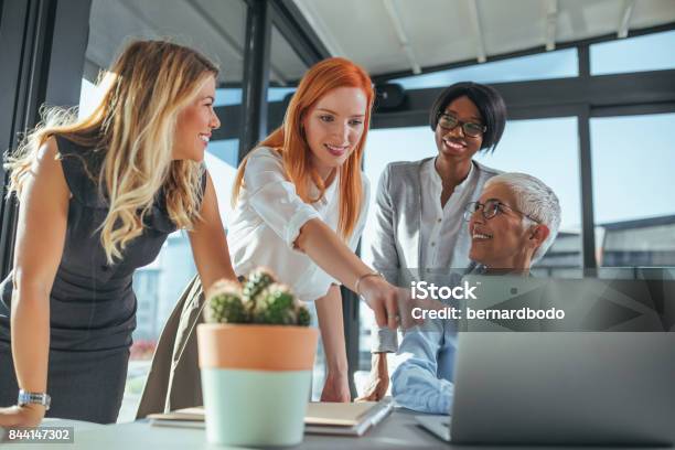 Working On A New Project Stock Photo - Download Image Now - Leadership, Women, Only Women