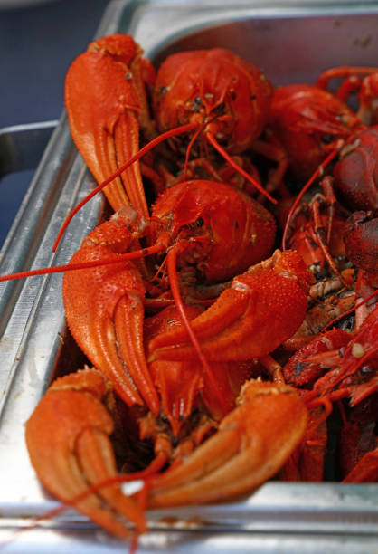 istock Portion of cooked red crawfish close up 844147554