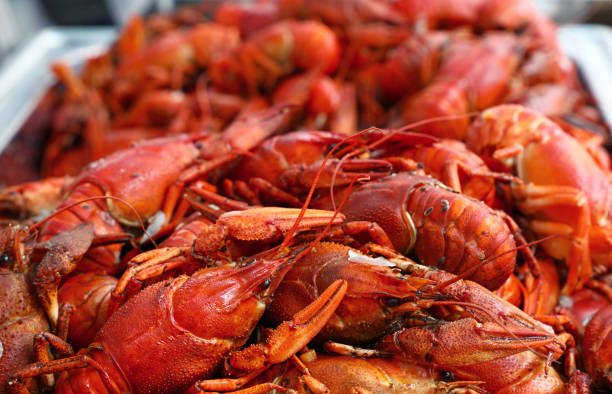istock Heap of fresh cooked red crawfish close up 844147678