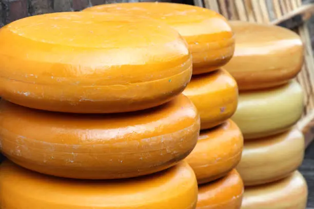Photo of Pile of famous Gouda cheese, Holland.