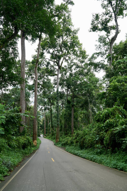 istock Country Road 844152460