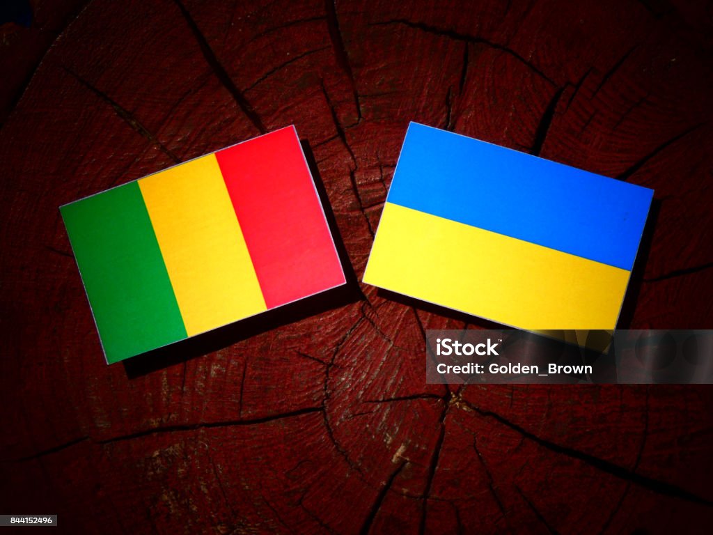 Bandeira do Mali com ucraniano bandeira em um toco de árvore isolado - Foto de stock de Acordo royalty-free