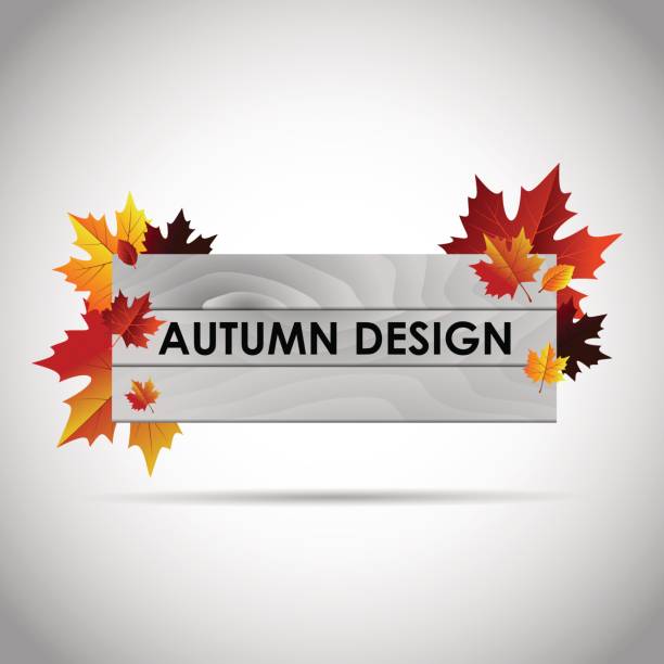 istock Autumn design banner with with autumn leaves on the boards. 844152550