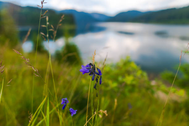 istock Sunny day in the mountains 844156678