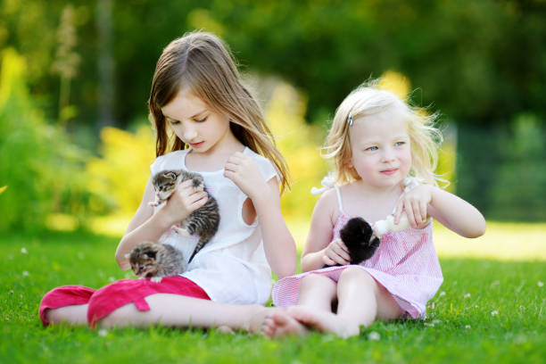 istock Two little sisters feeding kittens with milk 844157686