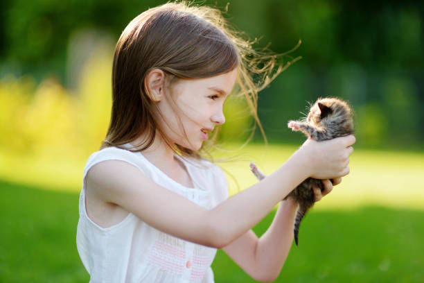 istock Adorable little girl playing with small kitten 844160634