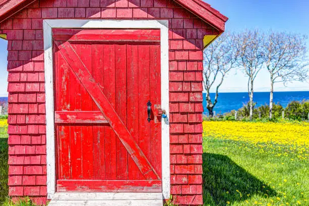 Red painted wooden shed door with yellow dandelion flowers and view of Saint Lawrence river in La Martre in the Gaspe Peninsula, Quebec, Canada, Gaspesie region