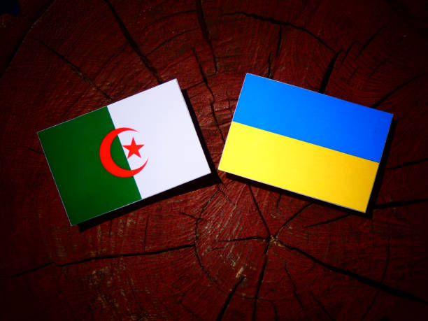 istock Algerian flag with Ukrainian flag on a tree stump isolated 844164392