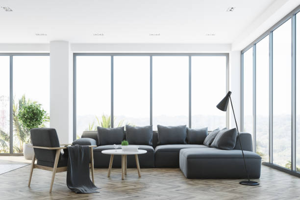 istock White living room interior with a gray sofa 844164542