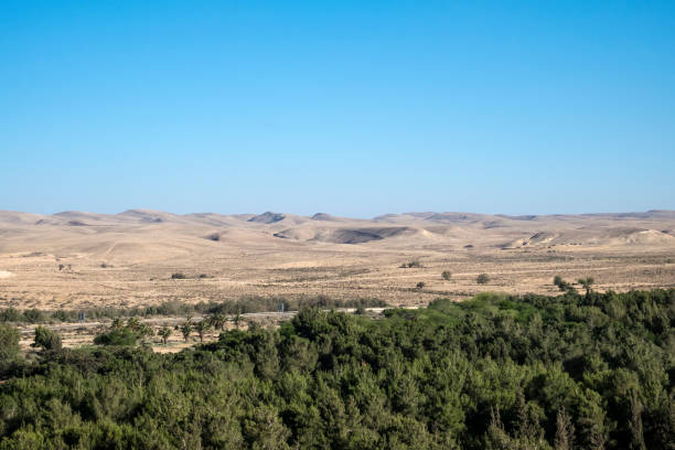Yeruham Park in the Negev Desert (Israel)