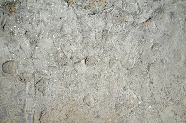 istock Close-up gray grunge old cracked wall texture, concrete cement background 844175234