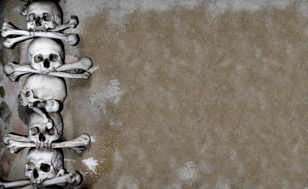 istock Grunge background with human skulls and bones 844186212