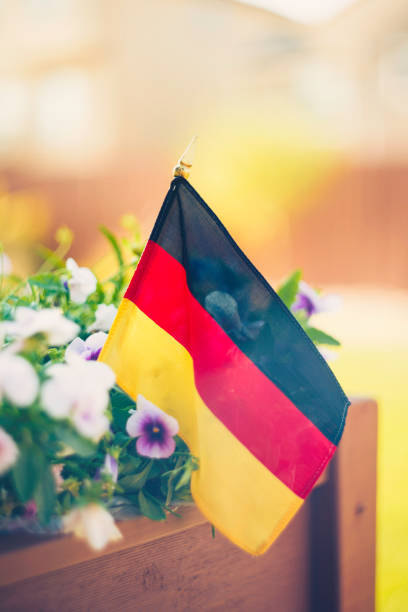 istock Autumn background with flowers and German flag in sunlight 844190918