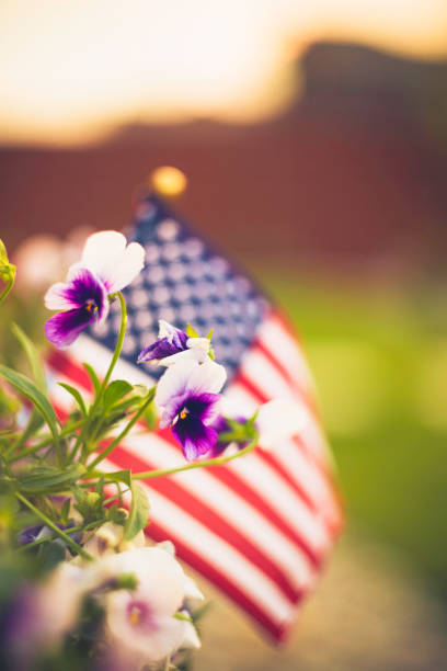 istock Autumn background with American flag in sunlight 844191158