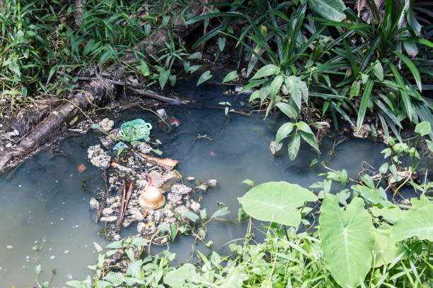 istock Junk in the water. Water pollution 844194682