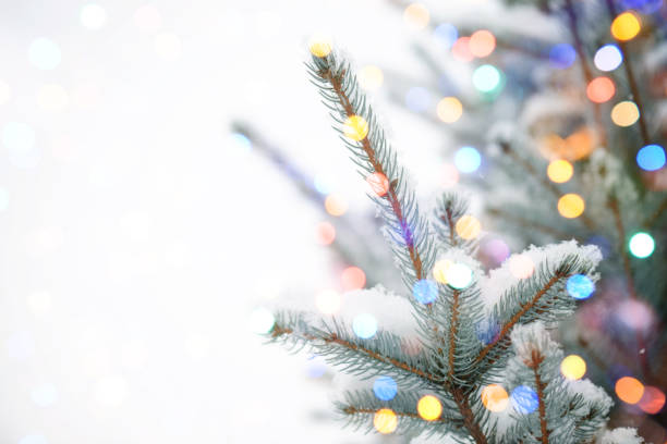 árvore de natal com luz de bokeh - christmas lighting equipment abstract christmas lights - fotografias e filmes do acervo