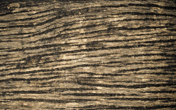 istock background of old wood texture 844212480