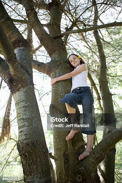 Preteen Girl Climbing Tree In Back Yard Stock Photo - Download Image Now -  8-9 Years, Barefoot, Branch - Plant Part - iStock