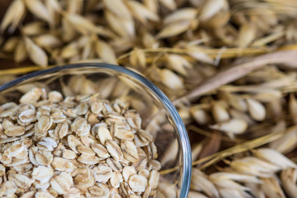 istock Rolled oats in glass bowl with ripe oat spikes on background 844229704
