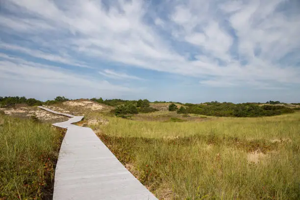 Parker River National Wildlife Refuge on Plum Island in Newburyport, MA. Boardwalk to the ocean.