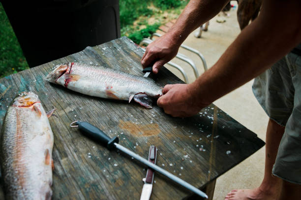 istock Man filleting fresh trout fish 844242676