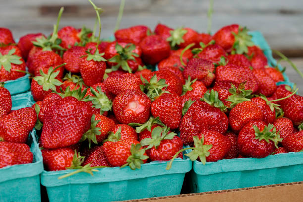 istock box of organic strawberries 844242800