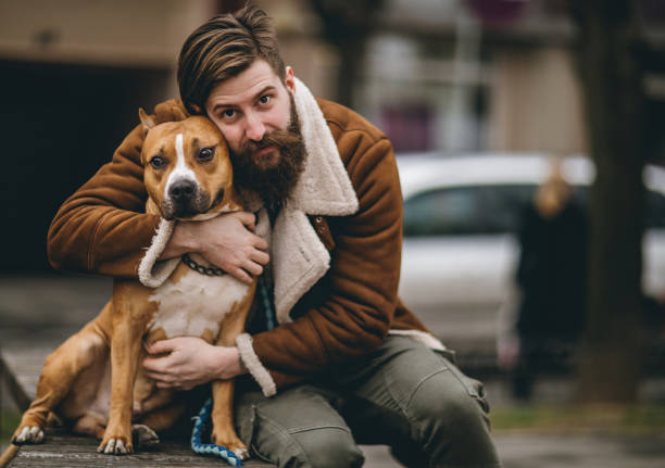 hombre atractivo hipster con su lindo perro - american staffordshire terrier bull terrier terrier purebred dog fotografías e imágenes de stock