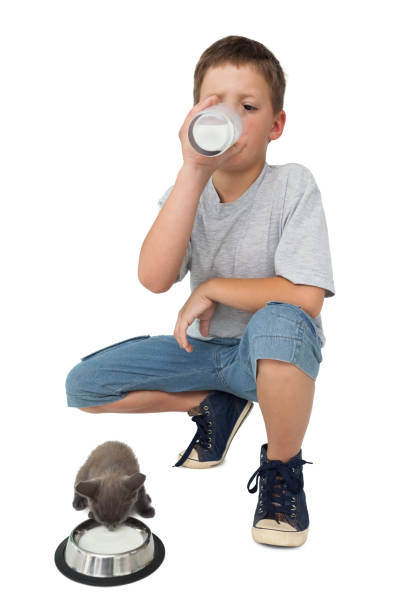 Cute little boy and grey kitten both drinking milk on white background