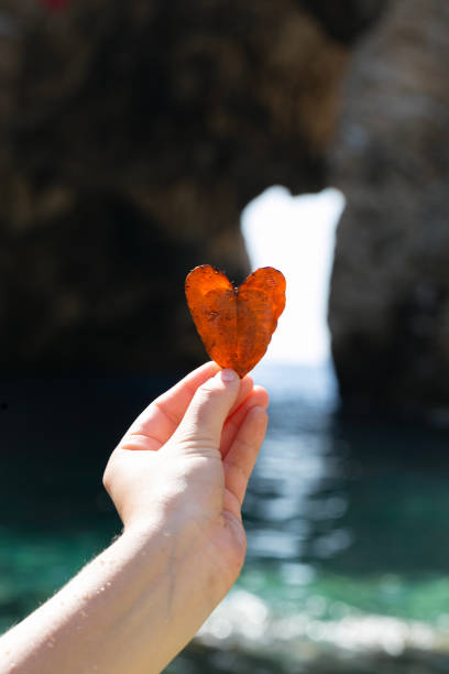 istock Woman hand holding heart shaped leave 844265032
