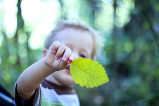 enfant dans les bois - nature summer child one little boy photos et images de collection