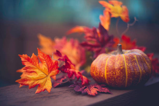 istock Thanksgiving still life arrangement 844278612