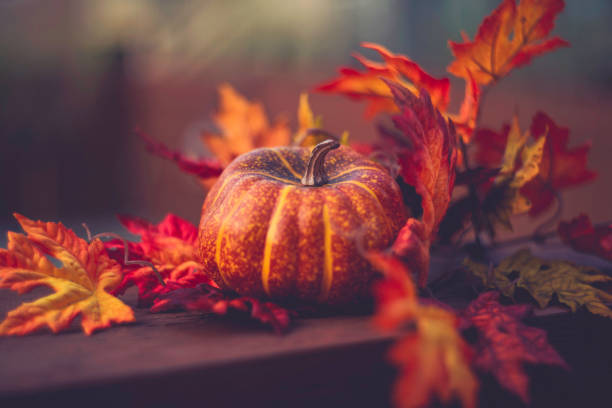 istock Thanksgiving still life arrangement 844278616