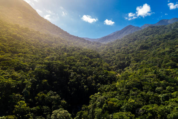 istock Mountains and Forest in South America 844285112