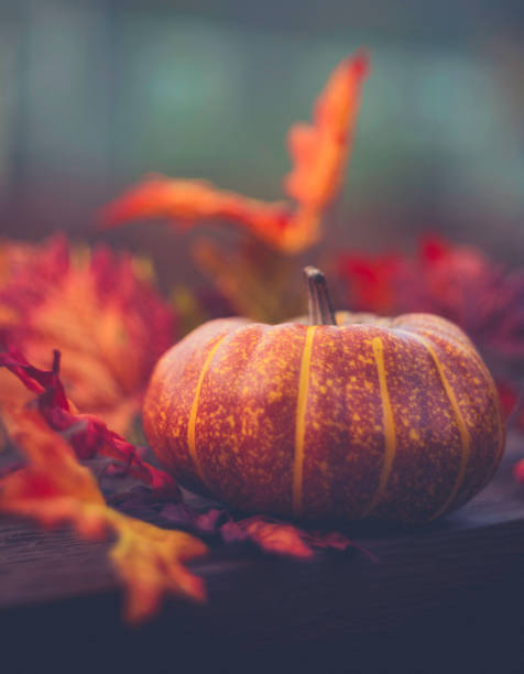 istock Thanksgiving still life arrangement 844288102