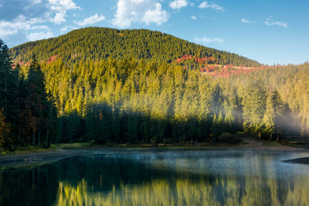 istock misty morning on the forest lake in mountains 844288218