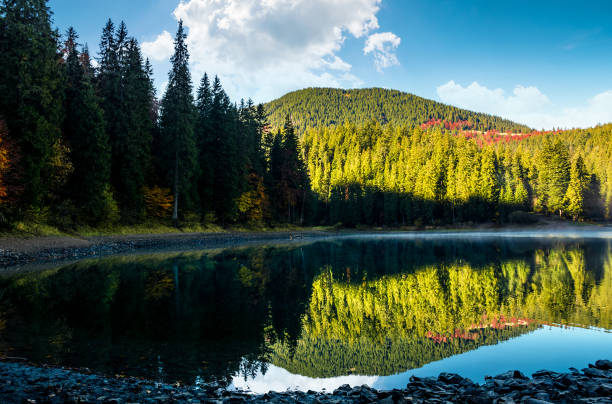 istock misty morning on the forest lake in mountains 844288232