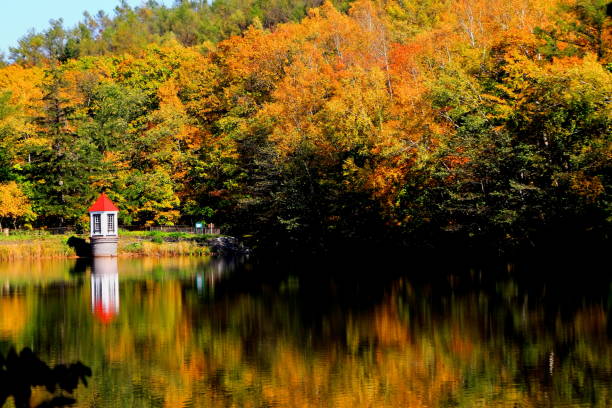 istock Park in Sapporo in autumn 844297576
