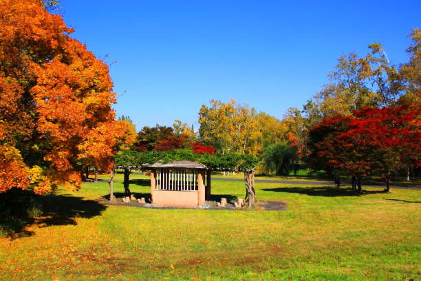 istock Park in Sapporo in autumn 844300042