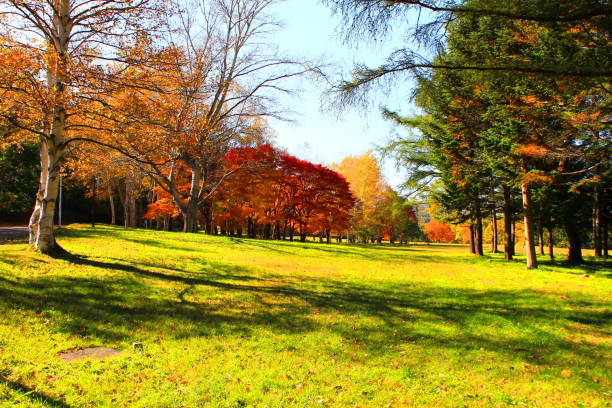 istock Park in Sapporo in autumn 844300314