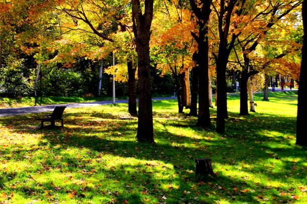 istock Park in Sapporo in autumn 844300480