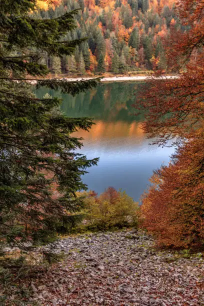 La Bresse, Vosges FRANCE - October 27, 2015 : a Frame on the Corbeau lake