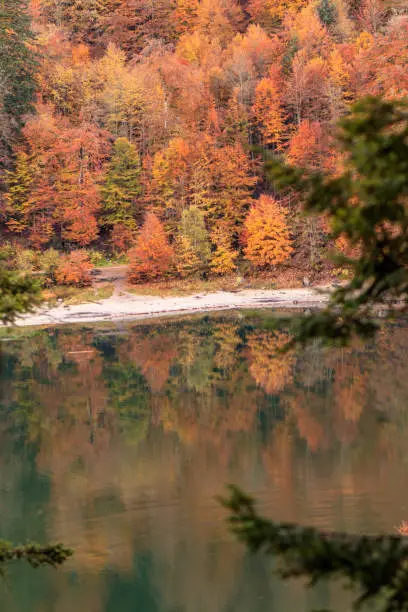 La Bresse, Vosges FRANCE - October 27, 2015 : Reflection in the Corbeau lake