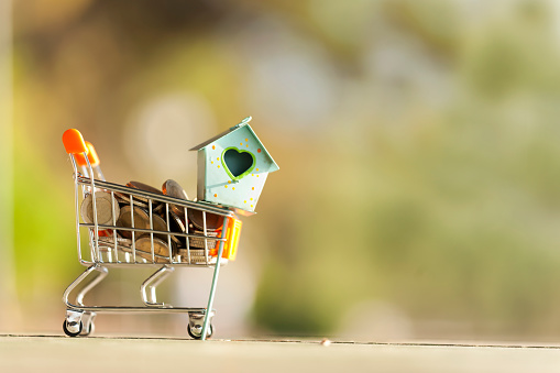Model House in Mini Shopping Cart  Concept on isolated Background