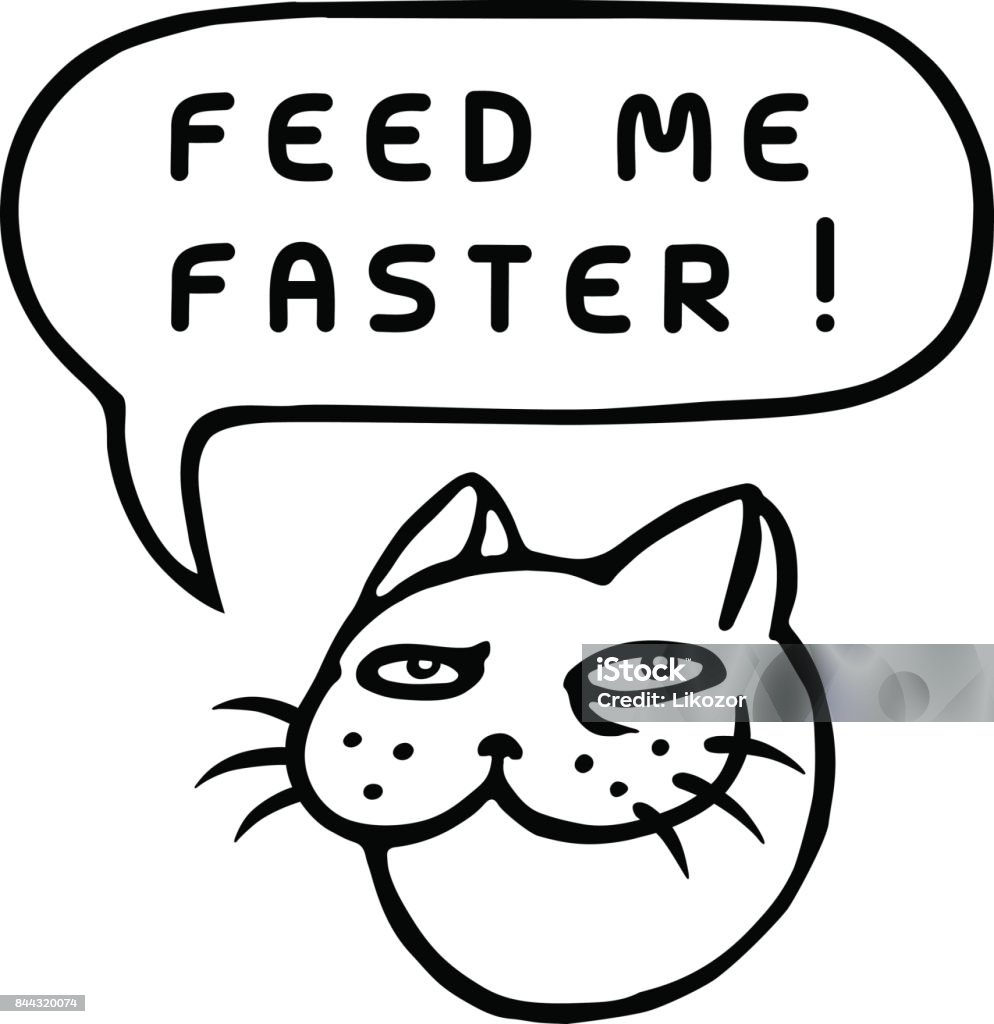 Vetores de Alimenteme Mais Rápido Cabeça De Gato De Desenho Animado Bolha  Do Discurso Ilustração Em Vetor e mais imagens de Animal de estimação -  iStock