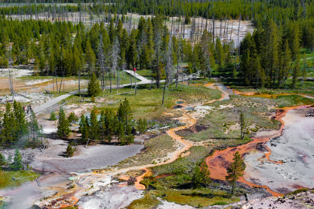 Artists' Paintpots, Yellowstone National Park Geothermal Activity in Artists Paintpots, Yellowstone National Park, Wyoming norris geyser basin photos stock pictures, royalty-free photos & images