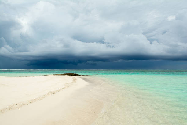 istock Cloudy landscape of Indian ocean sandy beach  before the storm 844323904